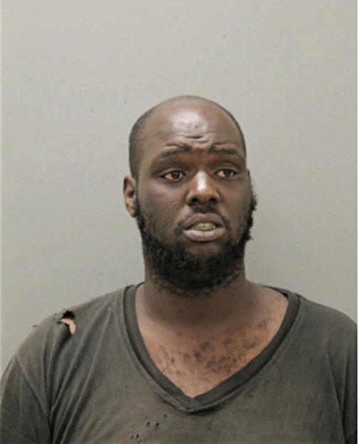 JOHN L YOUNG, Cook County, Illinois