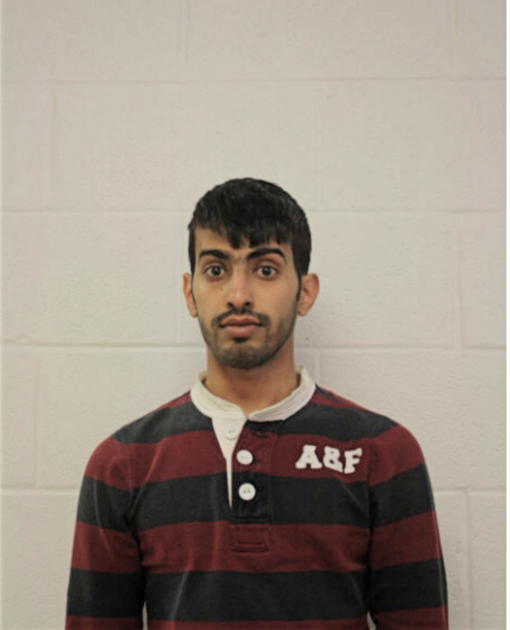 IBRAHIM S ALNAMLAH, Cook County, Illinois