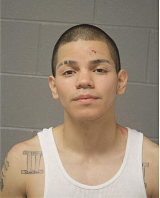 VICENTE AVILA, Cook County, Illinois