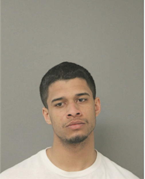 MICHAEL BORZEWSKI, Cook County, Illinois