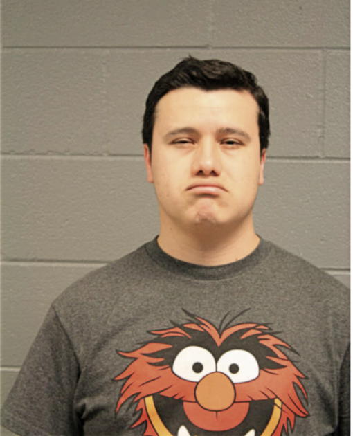 CARLOS M DEL CID-GOMEZ, Cook County, Illinois
