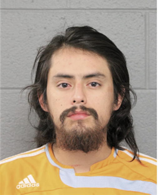 RAY ESTRADA, Cook County, Illinois