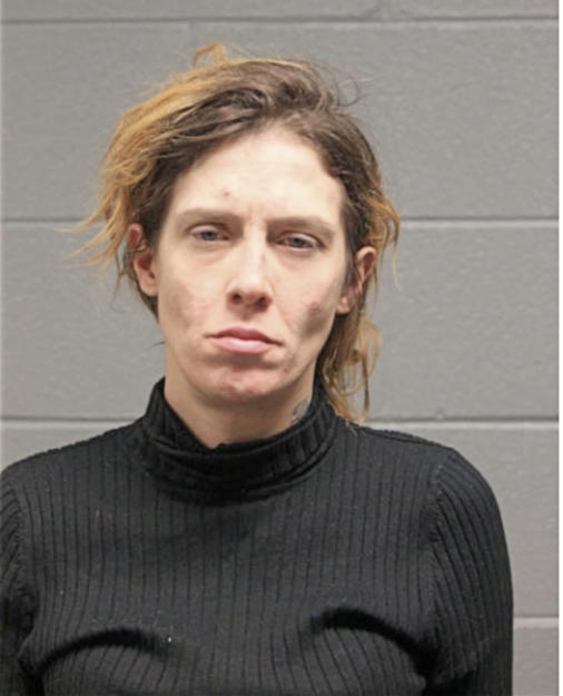 TINA L GODFREY, Cook County, Illinois
