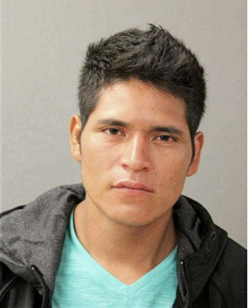 LUIS GUAMAN, Cook County, Illinois