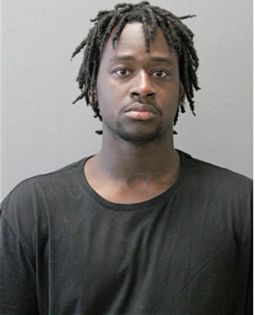 MICHAEL D JOHNSON, Cook County, Illinois