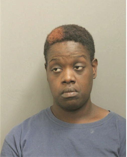 CHANTELLE G JOYNER, Cook County, Illinois