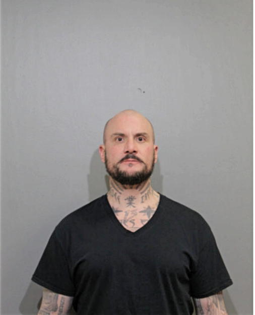 DANIEL N KATALINIC, Cook County, Illinois