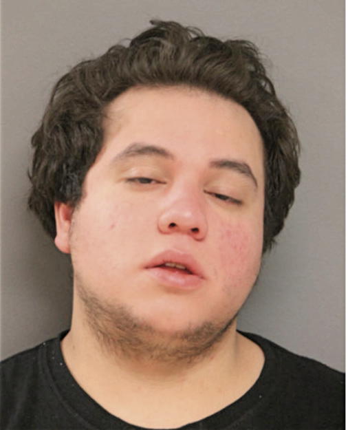 ALEJANDRO S LUNA, Cook County, Illinois