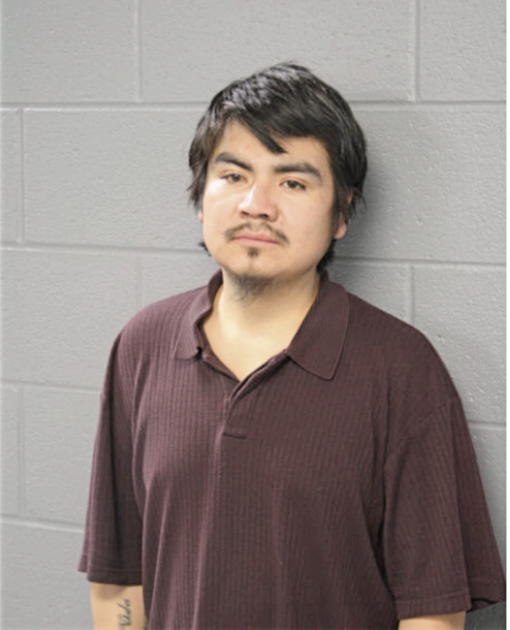 ALFREDO MARTINEZ, Cook County, Illinois