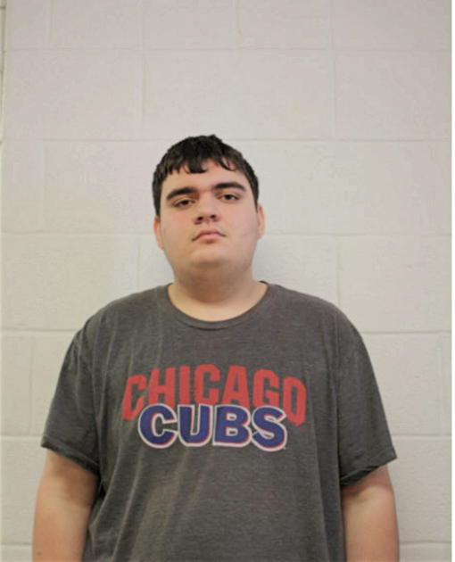MARK J MATEICA, Cook County, Illinois