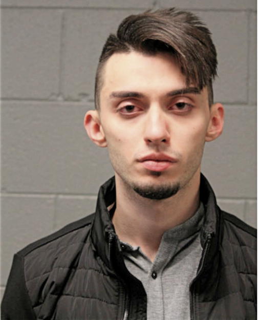 ANIS MEHREMIC, Cook County, Illinois