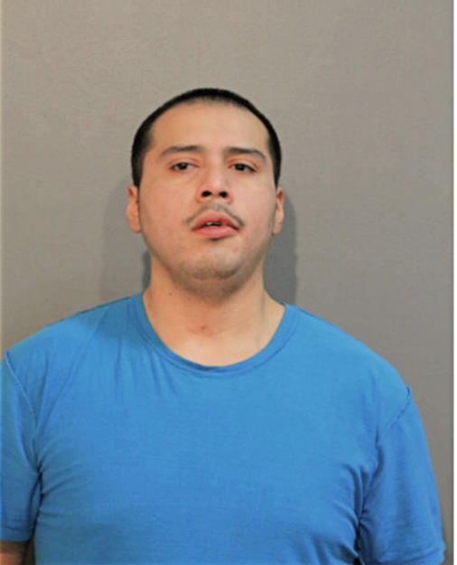 MOISES MENDIOLA, Cook County, Illinois