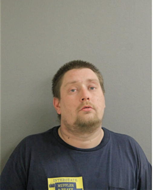 DANIEL A MESKAUSKAS, Cook County, Illinois