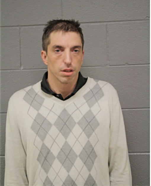 STEVEN M POWELL, Cook County, Illinois