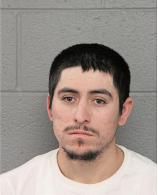 BALDEMAR F RAMIREZ, Cook County, Illinois