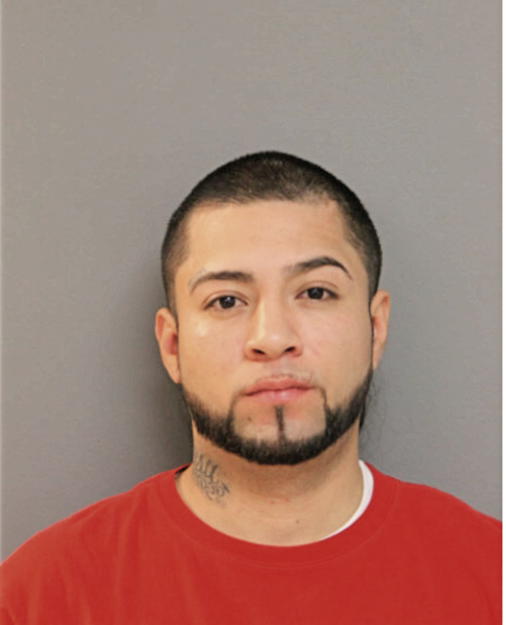 MICHAEL X RODRIGUEZ, Cook County, Illinois