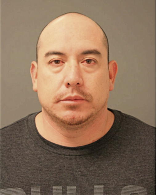 ARNULFO SANCHEZ, Cook County, Illinois