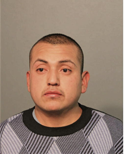 ADRIAN SILVA, Cook County, Illinois