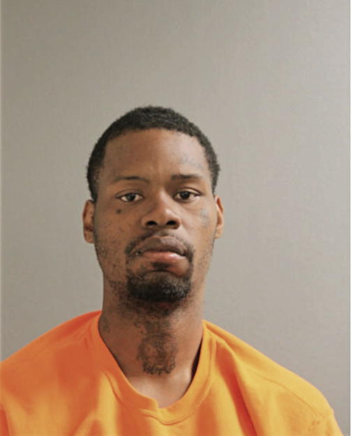 MICHAEL A SMITH, Cook County, Illinois