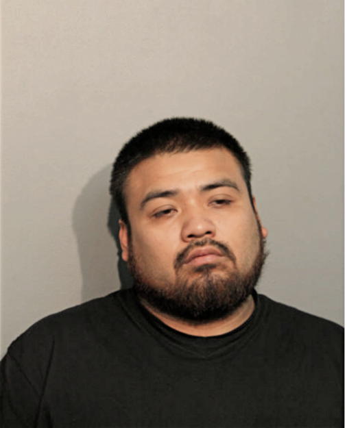 JUAN A TLASECA, Cook County, Illinois