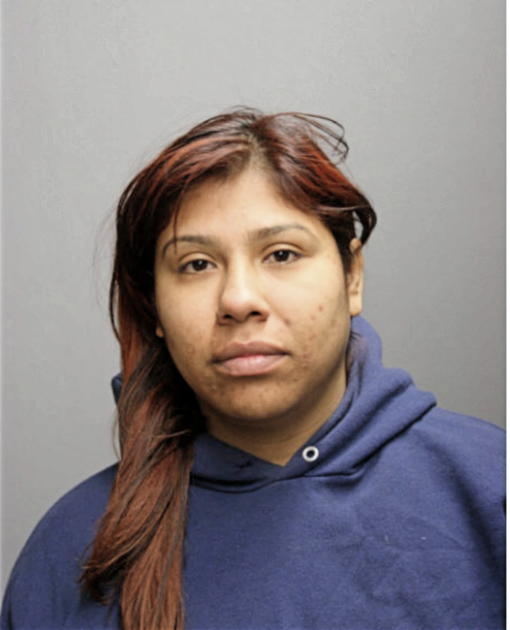 LUISA I TORRES, Cook County, Illinois