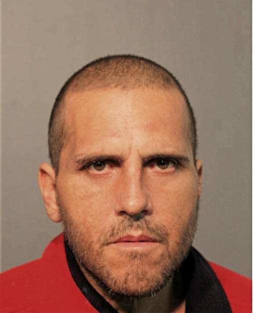 JORGE TORRES-ROSA, Cook County, Illinois