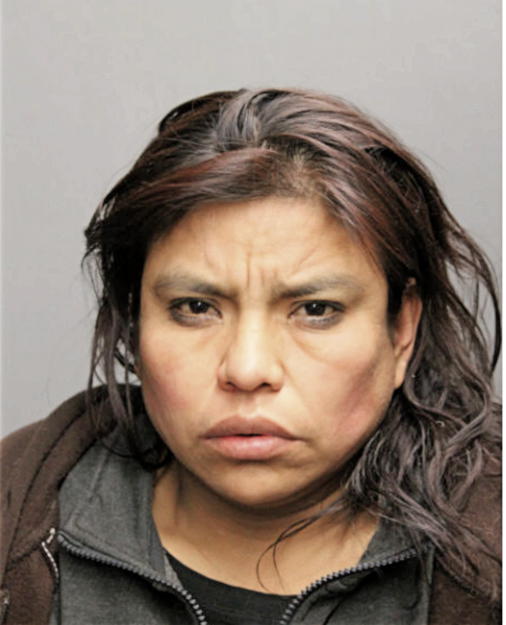 GAVINA TORRES-TIMOTEO, Cook County, Illinois