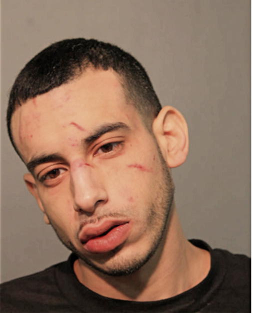 RAMIREZ ABRAHAM, Cook County, Illinois