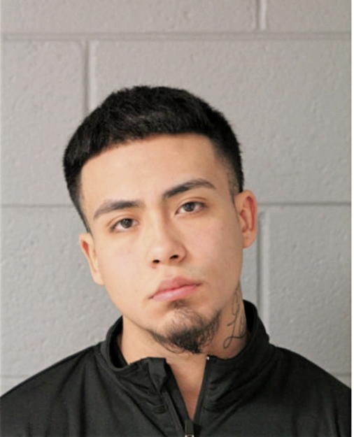 ALEXIS ALVAREZ, Cook County, Illinois