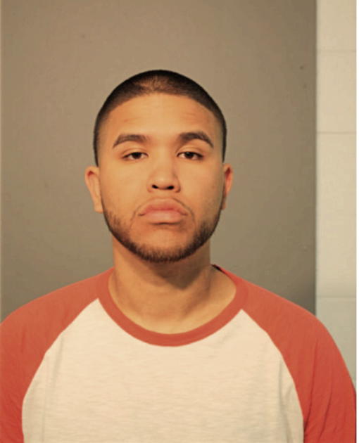 REINALDO ALVAREZ, Cook County, Illinois