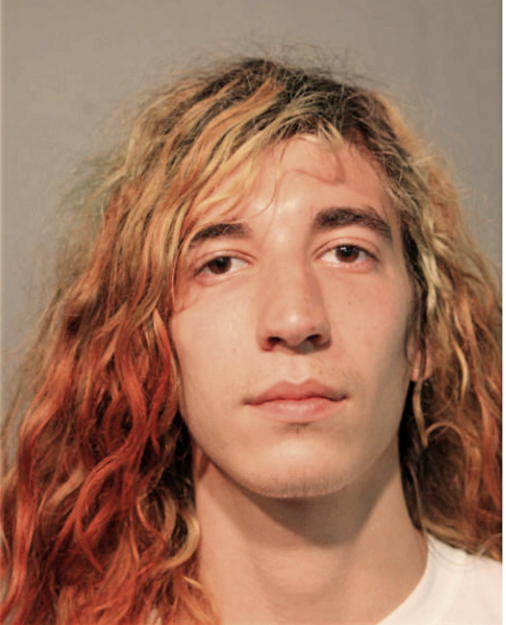 DREW M BALICKI, Cook County, Illinois
