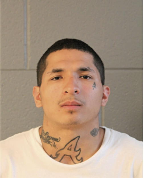 RICCO CARRASCO, Cook County, Illinois