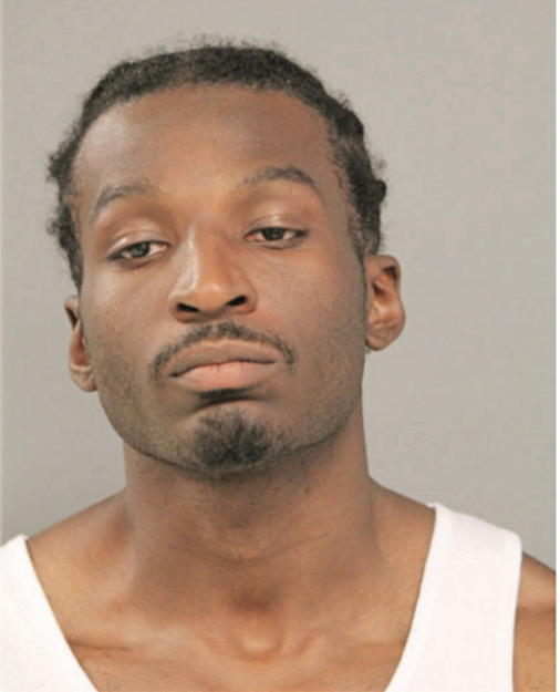 JUSTIN R DAVIS, Cook County, Illinois