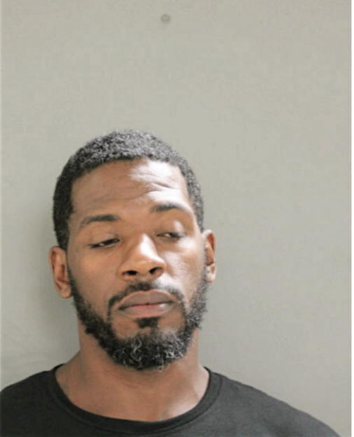 TERRANCE R DELANEY, Cook County, Illinois