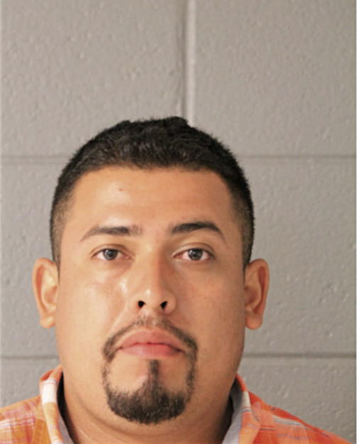 SALVADOR GARCIA, Cook County, Illinois