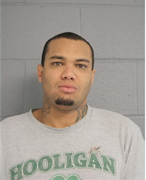 DOMINIC X GLOVER, Cook County, Illinois