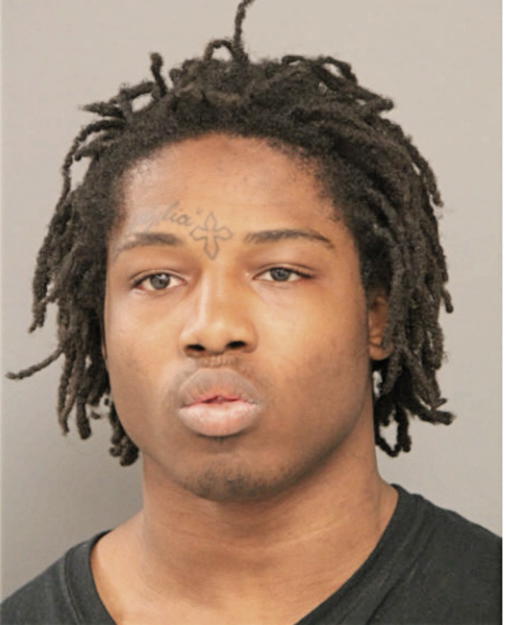 HAKEEM L HOWARD, Cook County, Illinois