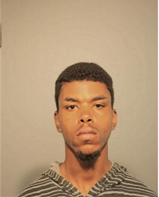 ROGER E LAKES, Cook County, Illinois