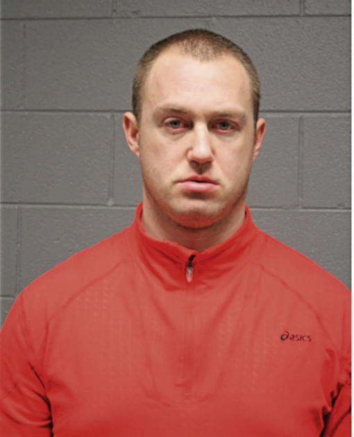 SEAN K MCBRADY, Cook County, Illinois