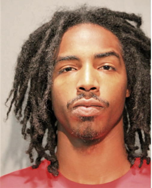 LENARD J MCKINNIS, Cook County, Illinois