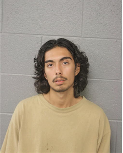 NOE J MONDRAGON JIMENEZ JR, Cook County, Illinois