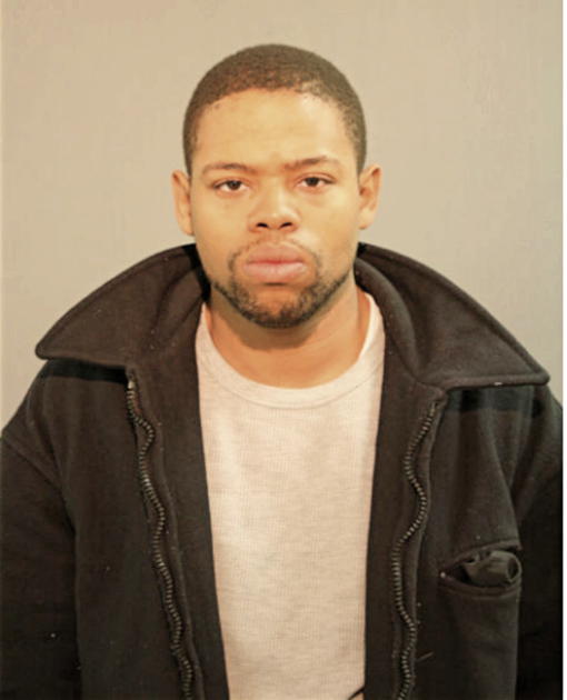 MICHAEL M NELSON, Cook County, Illinois