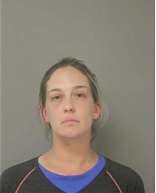 AMANDA L SCHMIDT, Cook County, Illinois