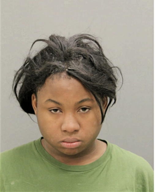 BRIANNA A SMITH, Cook County, Illinois