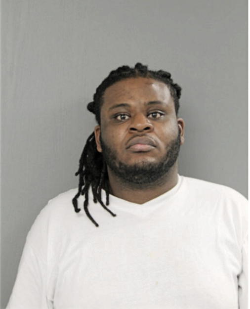 LENNIE L STEPHENSON, Cook County, Illinois