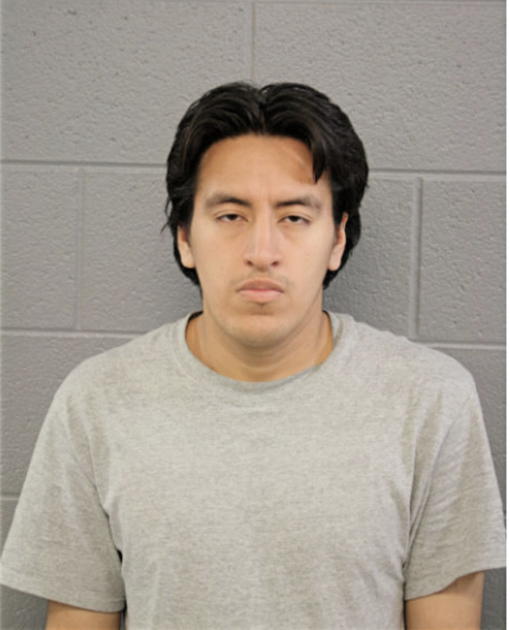 RICARDO D ALVAREZ, Cook County, Illinois