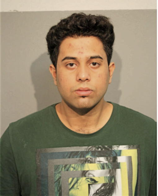 MOHAMMED A ANSARI, Cook County, Illinois