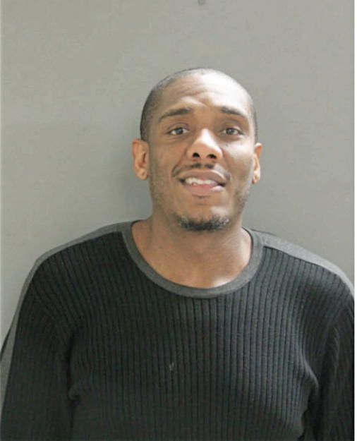 MICHAEL M ARMSTRONG, Cook County, Illinois