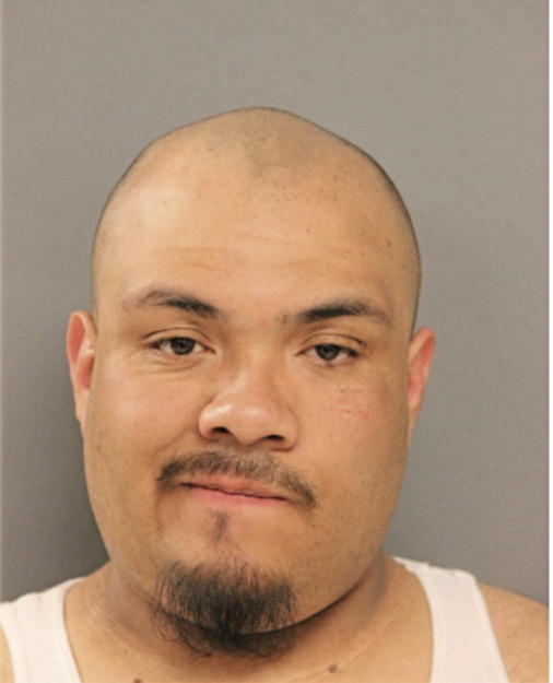 JOSE C ARRIAGA, Cook County, Illinois