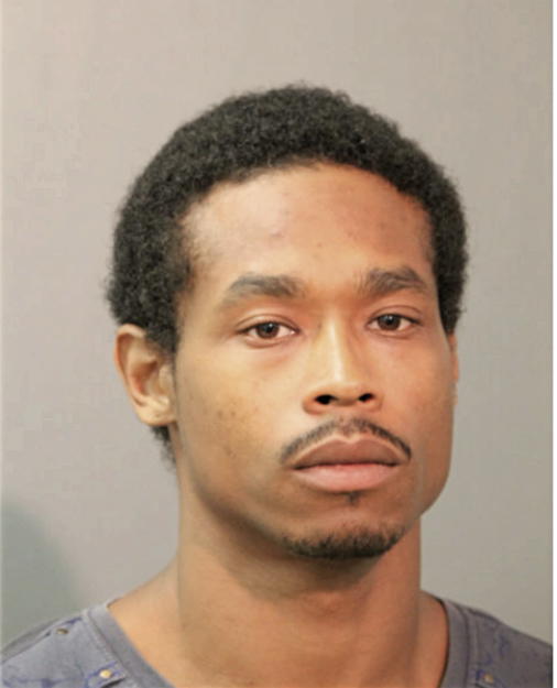 WILLIAM L ATKINS, Cook County, Illinois